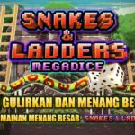 Snakes and Ladders Megadice Demo Slot